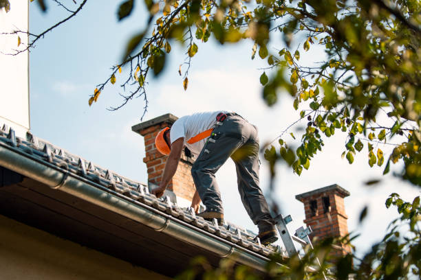 Best Green or Eco-Friendly Roofing Solutions  in Fairchild Af, WA
