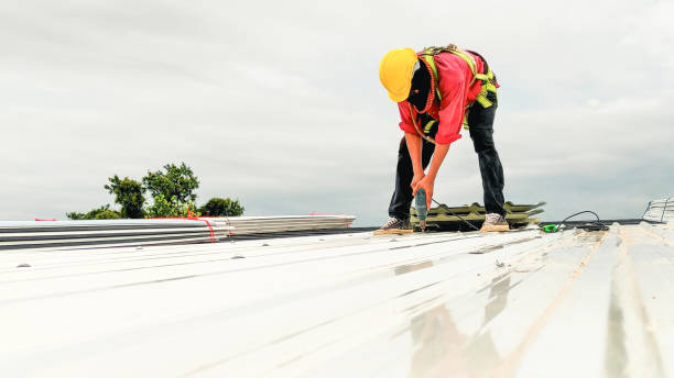 Best Roof Insulation Installation  in Fairchild Af, WA